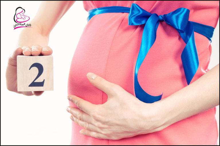 الحمل في الشهر الثاني بين الأعراض وتطور نمو الجنين دليل المرأة الحامل