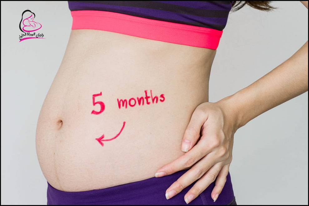 الشهر الخامس من الحمل بداية علاقة حب بينك وبين طفلك دليل المرأة الحامل