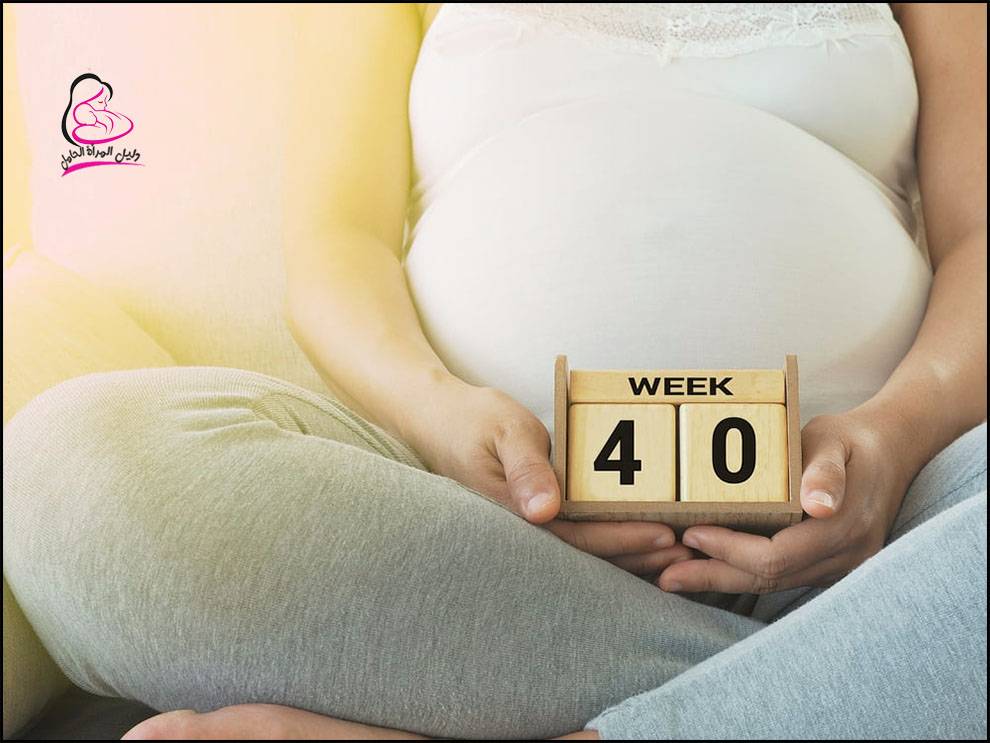 عدد اسابيع الحمل