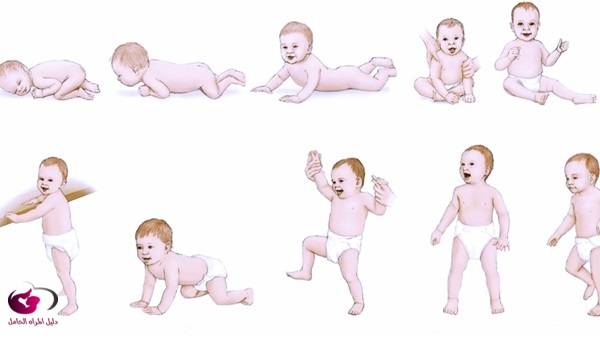 تطور الرضيع 
