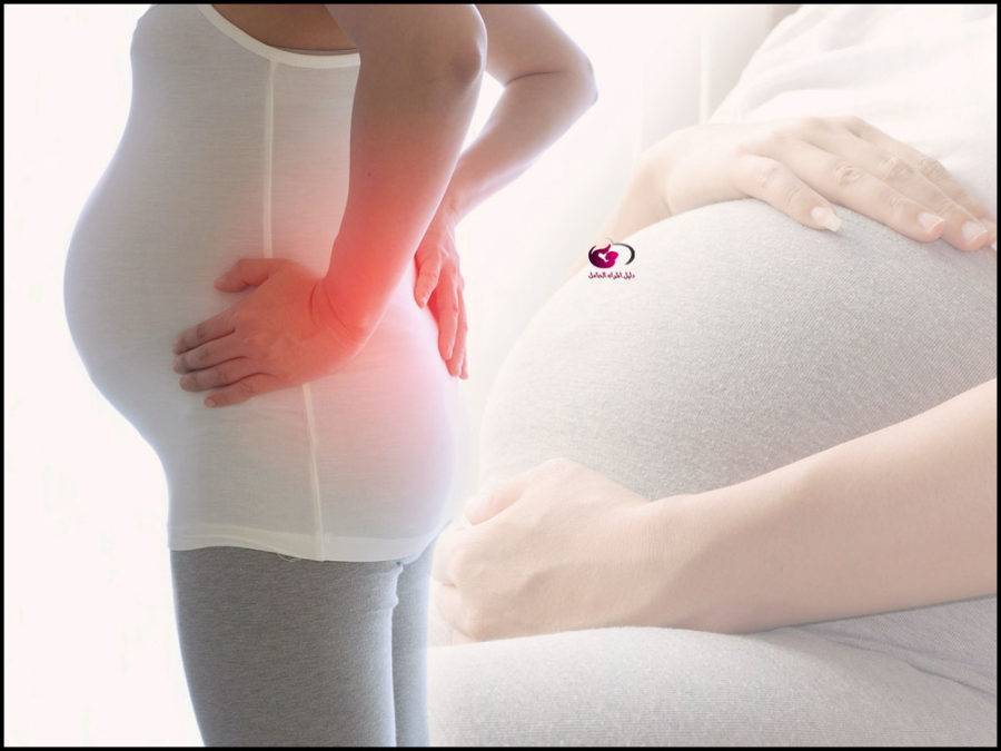 خلف الحامل e156074092681