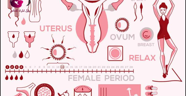 اضطرابات الدورة الشهرية أثناء الرضاعة