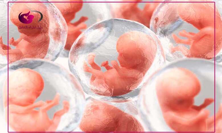 تعرفي على تطورات الجنين في الشهر الثالث | دليل المرأة الحامل