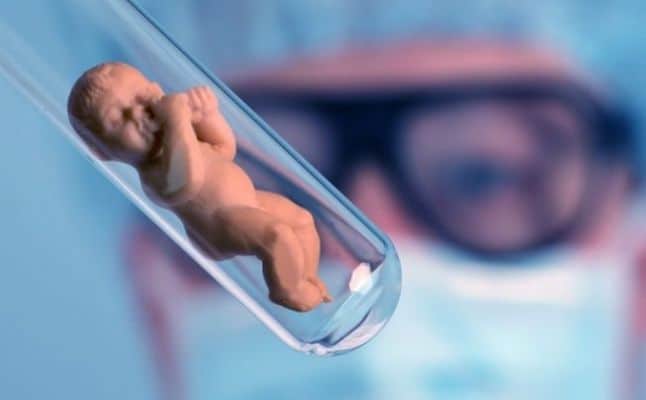 عملية تحديد نوع الجنين في مصر 11
