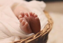 حاسبه الجدول الصيني لمعرفة جنس الجنين